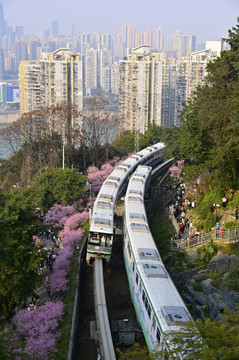 開往春天的列車