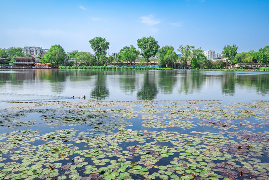 北京西海街景