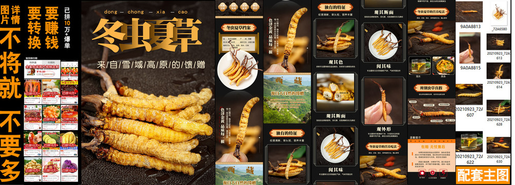 冬蟲(chóng)夏草詳情