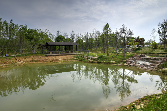 金华赤山公园雾森谷水塘