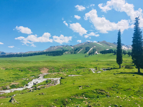 蓝天白云草地新疆风景