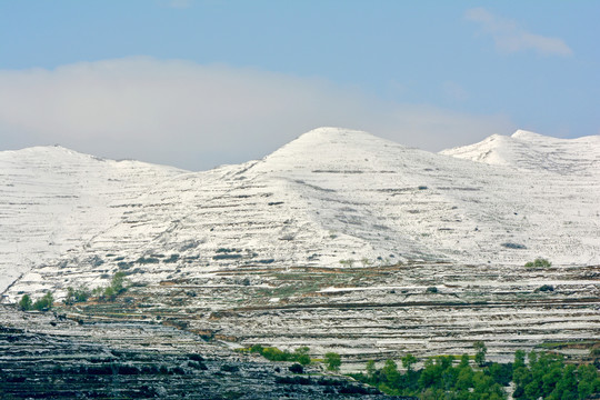 春山雪霁