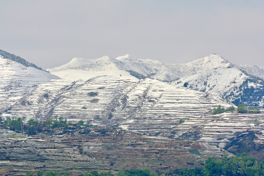 春山雪霁