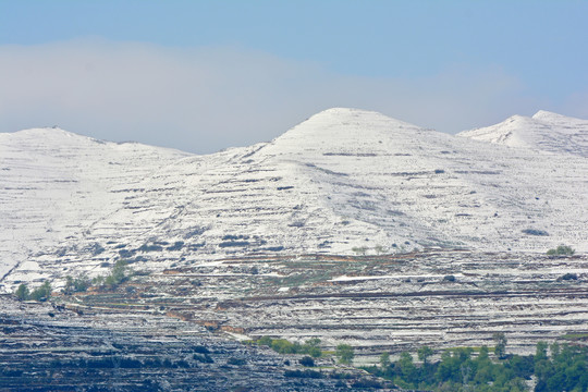 春山雪霁