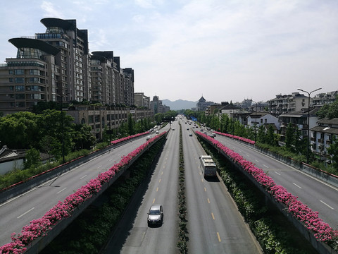 杭州高架鲜花带