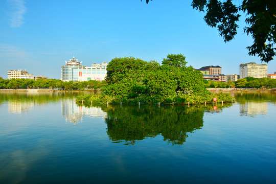 湖中鸟岛