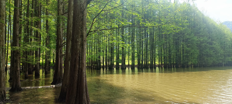 汉中南郑龙池风景区