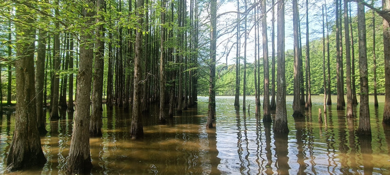 汉中南郑龙池风景区