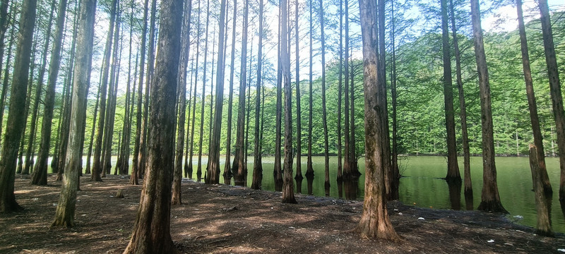 汉中南郑龙池风景区