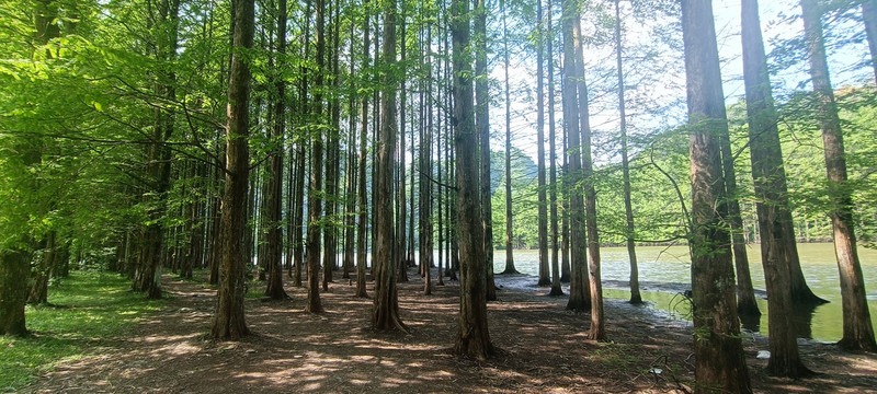 汉中南郑龙池风景区