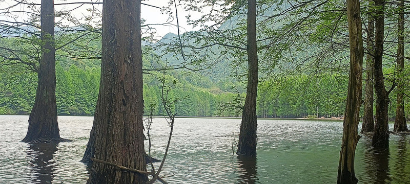 汉中南郑龙池风景区