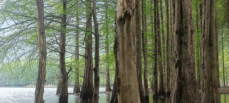 汉中南郑龙池风景区