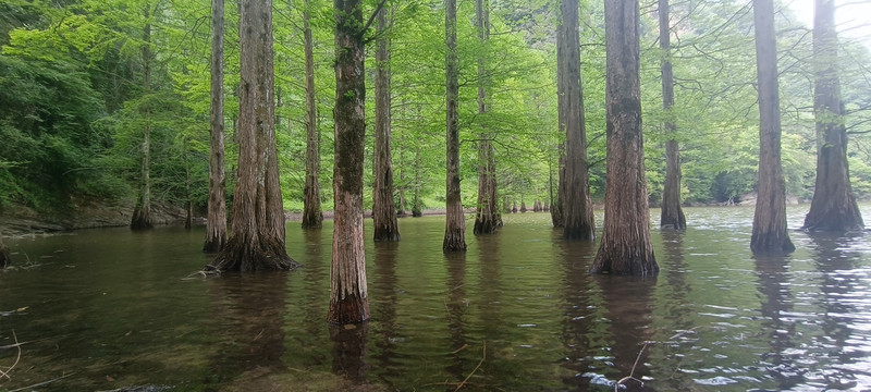 汉中南郑龙池风景区