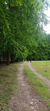 汉中南郑龙池风景区