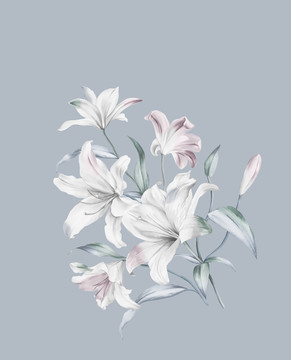 手繪百合花