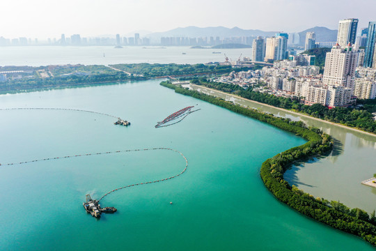 航拍福建厦门筼筜湖白鹭洲公园