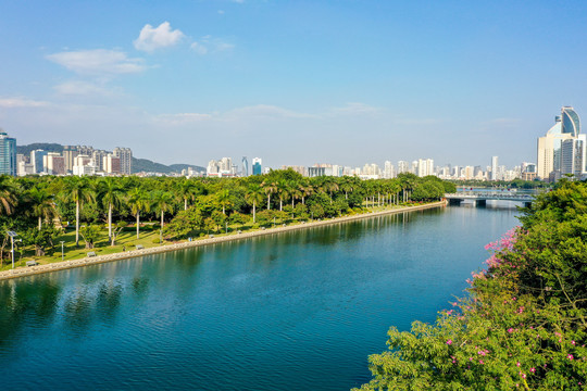 航拍福建厦门筼筜湖白鹭洲公园