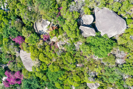 航拍厦门五老峰下的南普陀寺