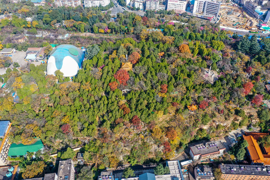 航拍云南昆明圆通山昆明动物园