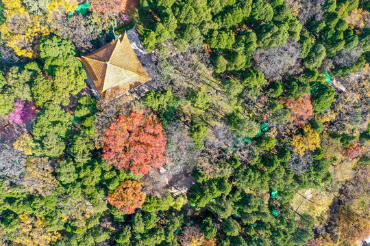 航拍云南昆明圆通山昆明动物园