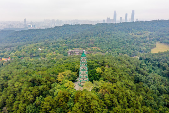 航拍广西南宁青秀山景区龙象塔