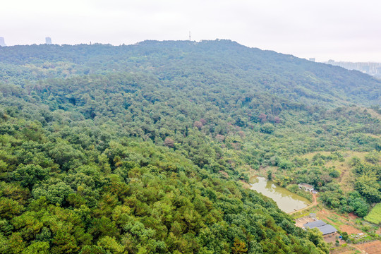 航拍广西南宁青秀山风景区