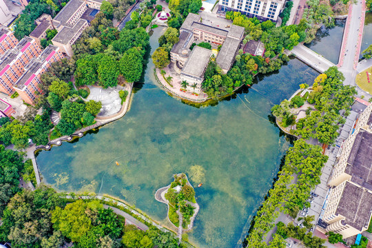 航拍广西大学校园碧云湖风光