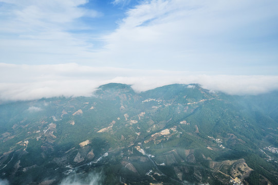 高山森林