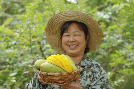 一篮金煌芒