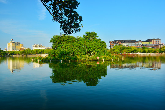 湖中鸟岛