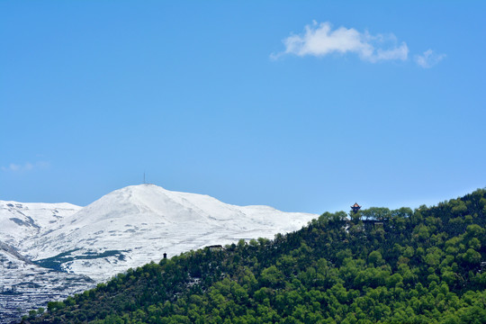 春山雪霁