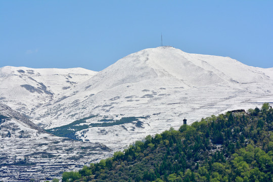 春山雪霁