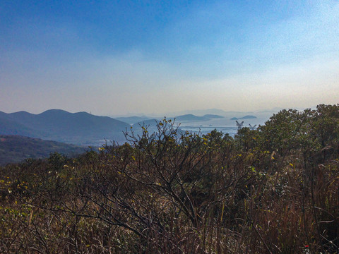 总台山