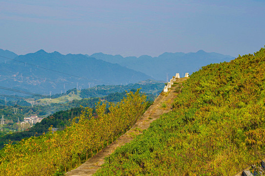 湖北长江三峡坛子岭风景区