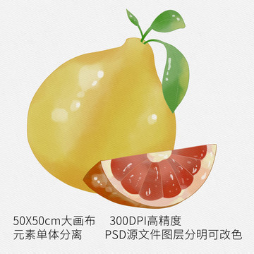 手繪水果柚子