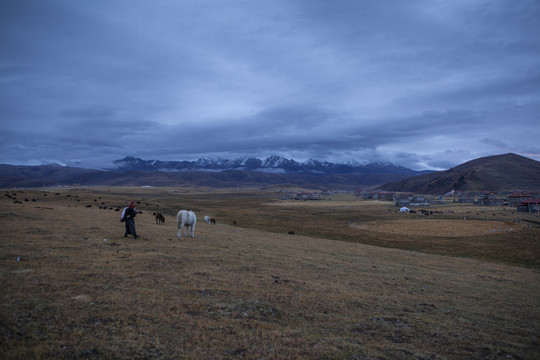 甘孜塔公草原雪山草原藏族民居