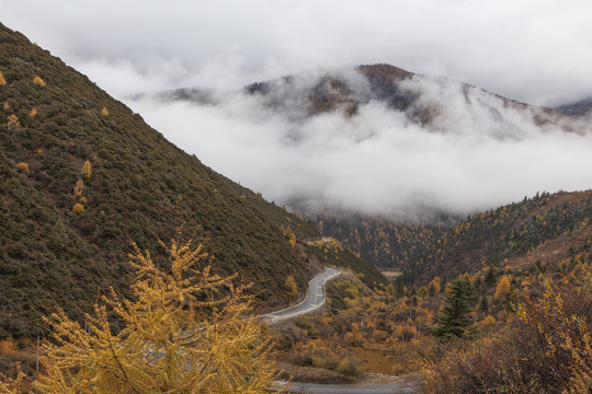 高山沟壑云雾彩林蜿蜒道路