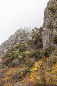 高山云雾彩林秋色自然风光