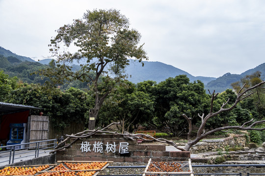 静修小镇风景