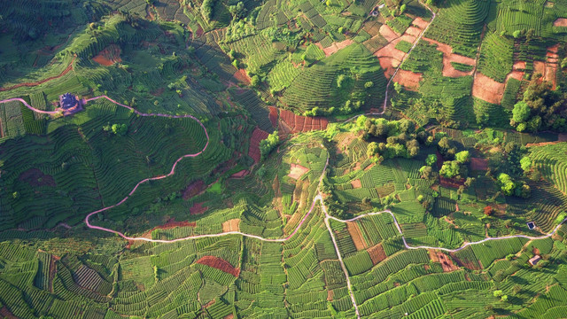 茶山航拍