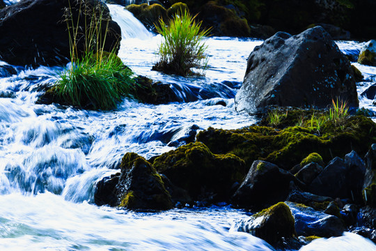 河流溪流岩石水草