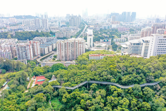 航拍福建福州城市森林步道福道