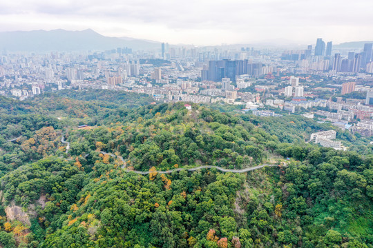 航拍福州城市森林步道福州福道