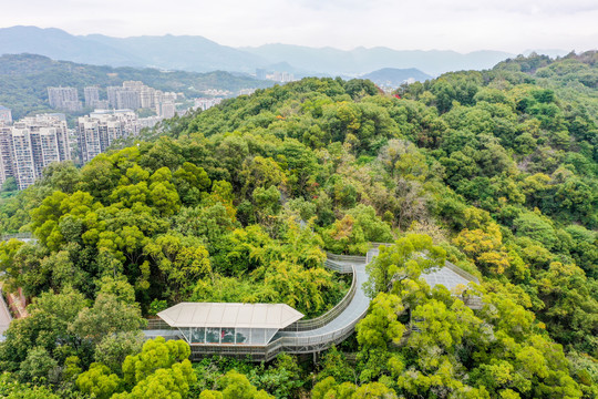 航拍福州城市森林步道福州福道