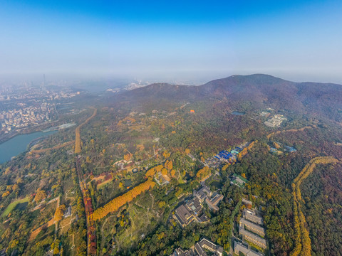 航拍江苏南京钟山风景名胜区