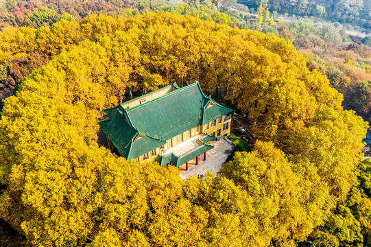 航拍南京钟山风景名胜区美龄宫