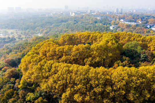 航拍南京钟山风景名胜区美龄宫