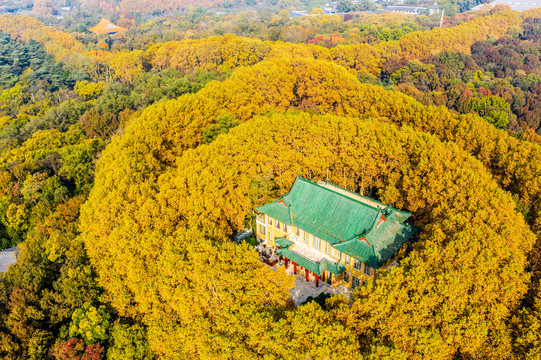 航拍南京钟山风景名胜区美龄宫