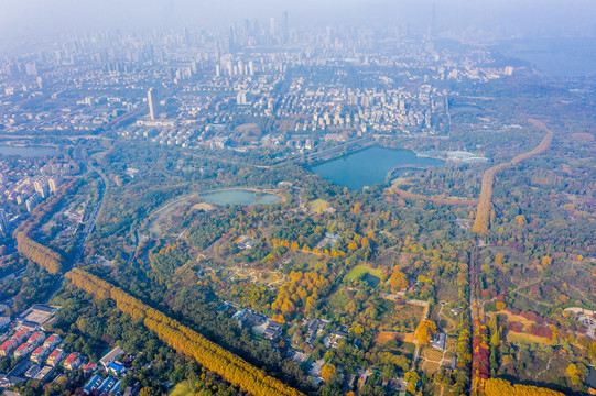 航拍南京钟山前湖公园燕雀湖