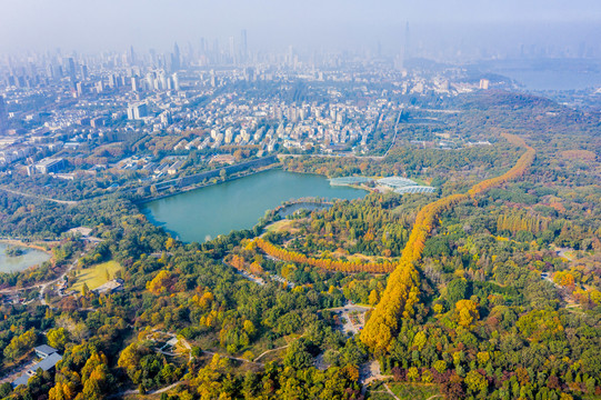 航拍南京钟山前湖公园燕雀湖